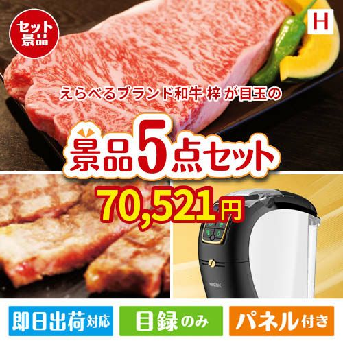 えらべるブランド和牛　梓 5点セットH