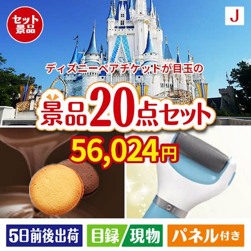 東京ディズニーリゾート１DAYパスポート ぺア 20点セットJ