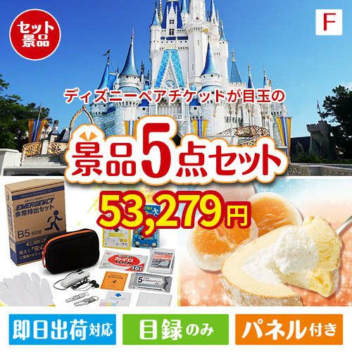 東京ディズニーリゾート１DAYパスポート ぺア 5点セットF